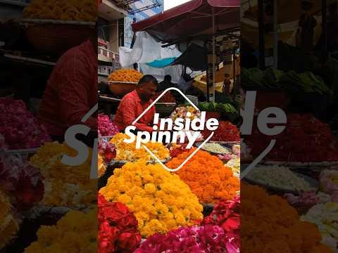 Thumbnail Inside Spinny | #vlog 3 | #spinny | #shorts